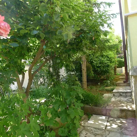 Pjescana Uvala Istrien 10921 Διαμέρισμα Vinkuran